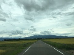 【お題日記】運動してますか？