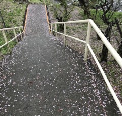 【お題日記】今、恋していますか？