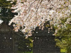 一瞬先は、、、