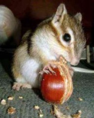 スーパーHな画像をアップ