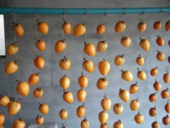 これも秋冬……かな？