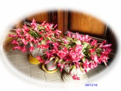 あと一週間……