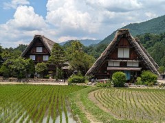 【お題日記】AV出てみたいと頭を過ったことある？