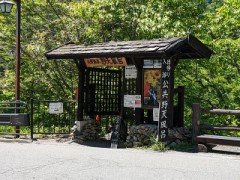 【お題日記】お札破れちゃったことある？