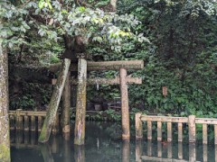 【お題日記】Hの前に必ずする事って？