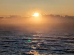 【お題日記】TVショッピング利用したことある？