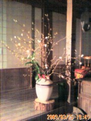 クロモジを加えたら雰囲気が出てきた、廊下の花瓶