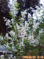 再び、おっぱいやお尻も良いけど、これもいいと強がってみる