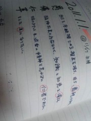 『虞美人草』ならぬ《愚備仁草》