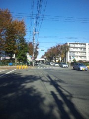 空を見上げている。