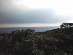 チャットの失敗