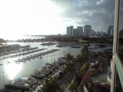 ゴッホとゴーギャン