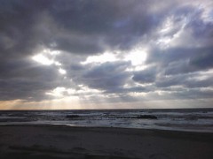 TBSドラマ今夜9時 半沢直樹