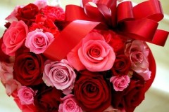 スピリチュアル 今日はアンマの誕生日