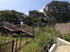 大田区の山の手