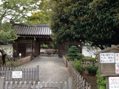 今日は朝からムラムラ