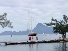 【お題日記】ヨットに乗ったことある？