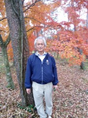 紅葉の森林セラピー