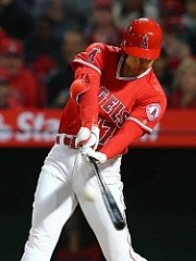 大谷祥平投手の目標達成シート