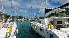 【お題日記】今更だけどハマってること