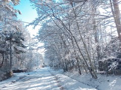 【お題日記】セフレと別れる時の理由