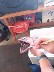 【お題日記】うっかり漏れちゃったことある？