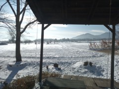 【お題日記】大人になってから食べられるようになった物
