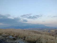 【お題日記】淋しいと感じる瞬間