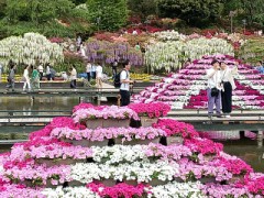 【お題日記】喘ぎ声は大きい方がいい？