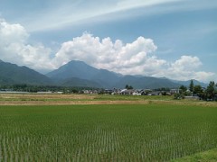 あずさ30号は松本発新宿行
