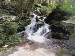 見玉みたま不動尊