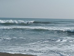 【お題日記】心に残る映画を見つけた夜