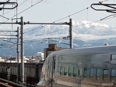 【お題日記】異性の性器で要視するところは？