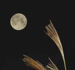 何かしたい季節