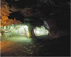 【お題日記】いちばん楽しかった夏休みの思い出