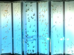 お久しぶりです