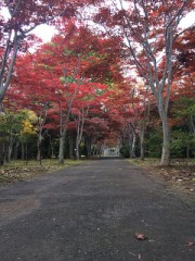 出張終了からの紅葉ドライブ