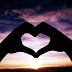 私の2012年上半期