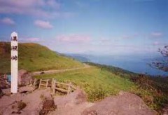 国内旅行はよくされますか？