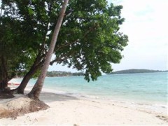 8月到来!!夏に聴きたい曲といえば～？