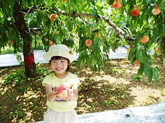 「あまーい体験」なんですか？