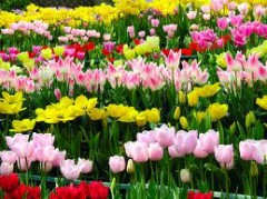 いよいよ10月！〇〇の秋、あなたは何？