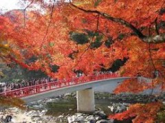 おすすめの紅葉スポットを教えて！
