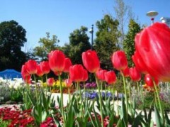 インスピレーションが湧いてくるスポット