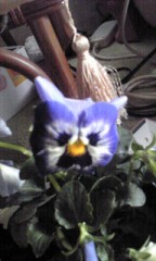 月初の忙しさ来襲！！