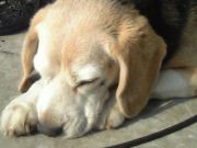 退会しようと思いつつ・・・