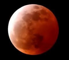 今夜は、スーパーブルーブラッドムーン