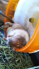 今日も暑かった。