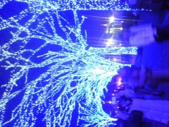 毎年クリスマスは気にする？