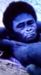 2013年あけましてのご挨拶